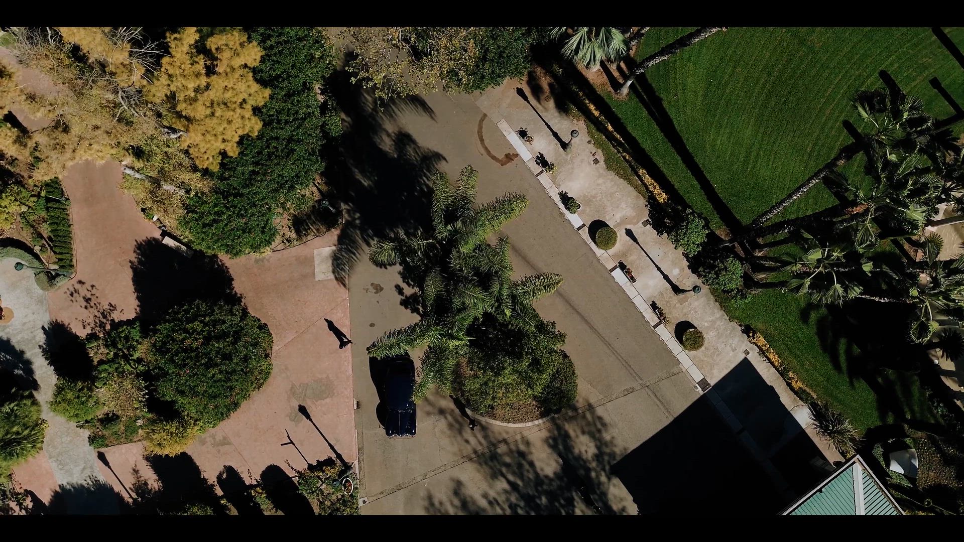 Marina & Oleksandr - Wedding Trailer