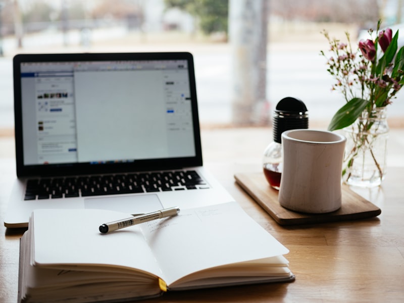 Cursos completos