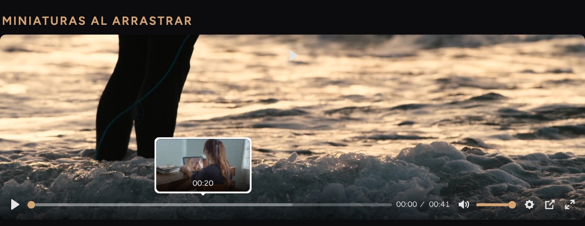 The player's progress bar with a thumbnail floating above it showing the frame at second 20 and its timestamp.